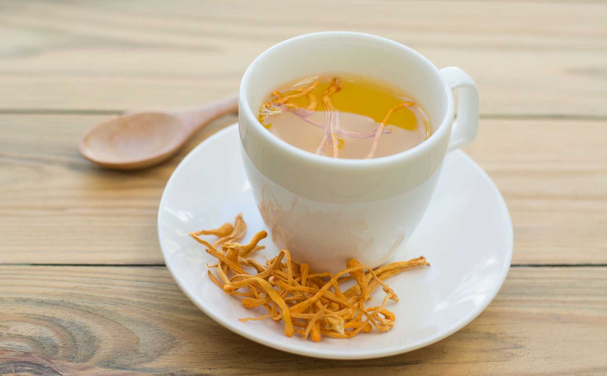 Cordyceps Tea