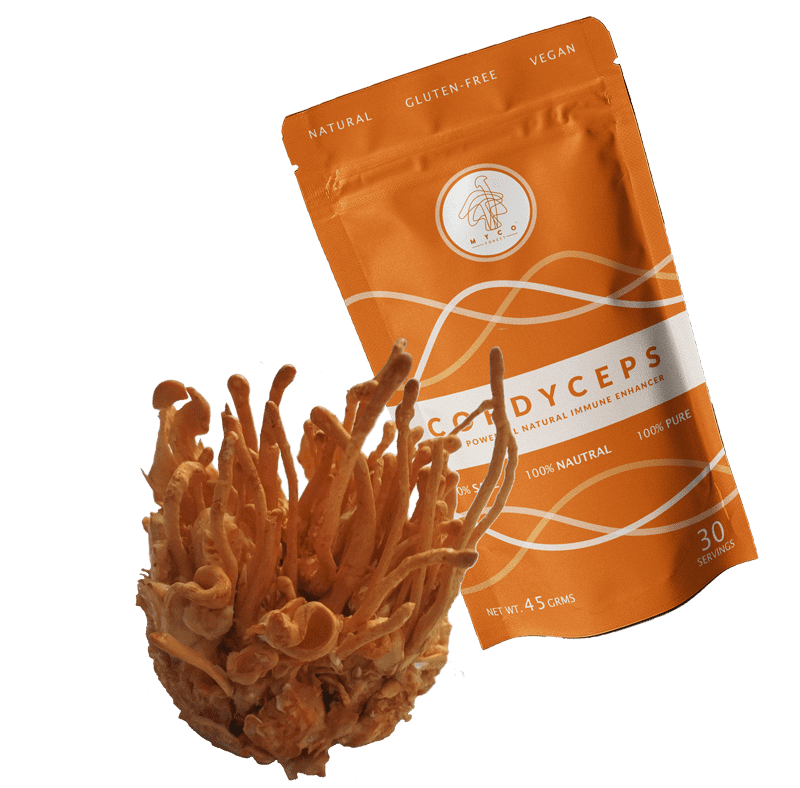  Cordyceps Image 