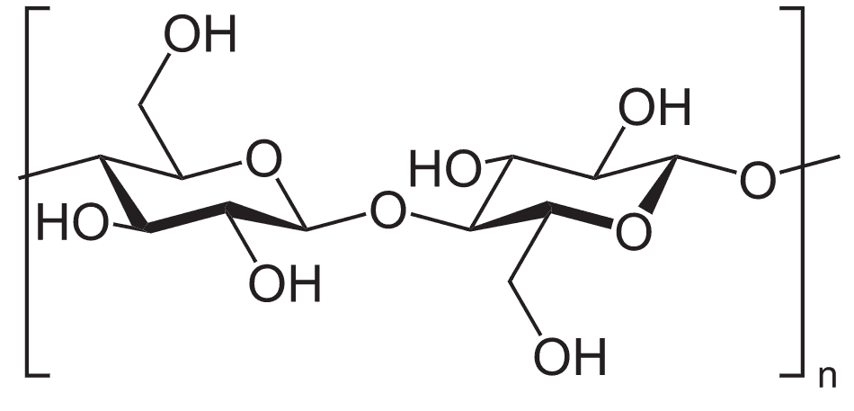 Beta Glucan Molecule - MycoForest