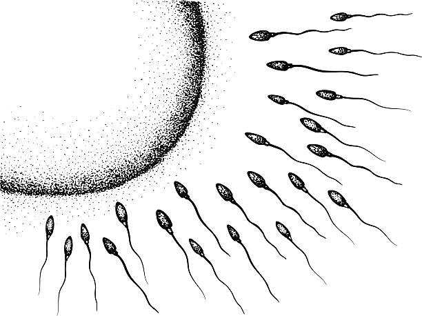 improve fertility MycoForest